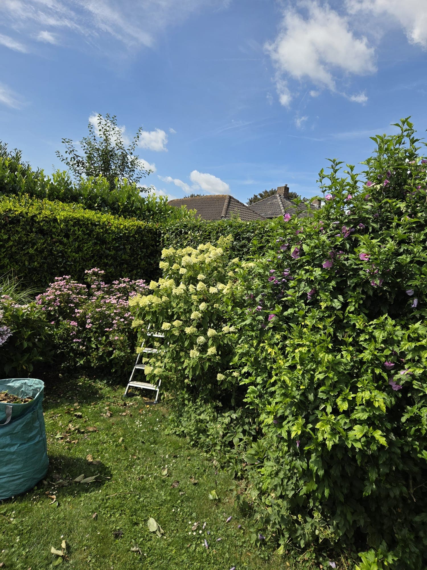 Verzorgde tuin met strak gemaaid gazon en nette borders