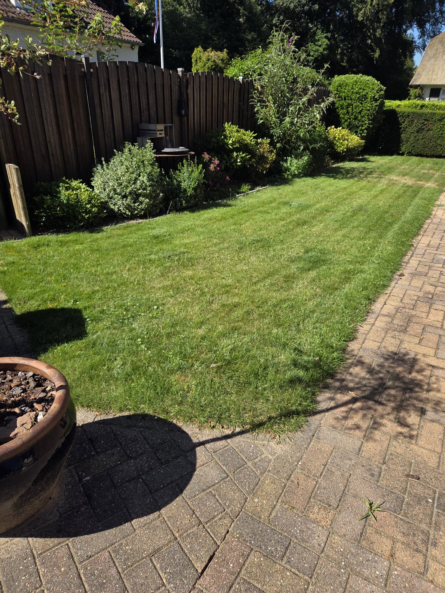 Overgroeid gazon naast houten schutting, voor het maaien