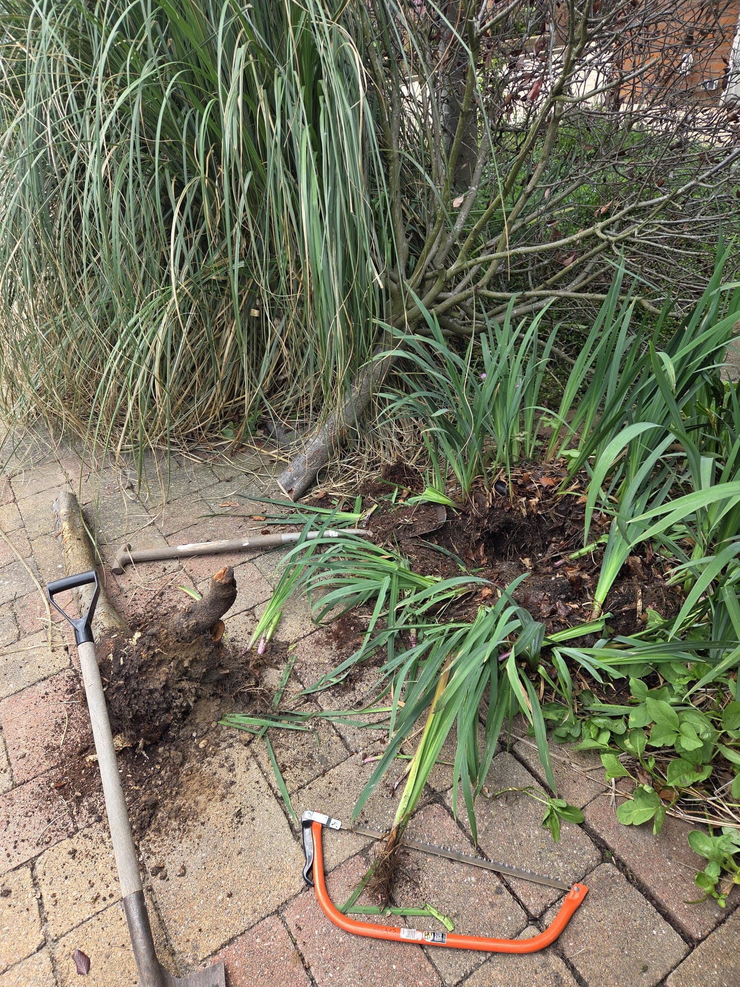 Wortel- en plantenverwijdering in uitvoering